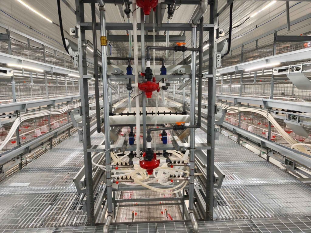 Broiler Cage 4 育雏笼组