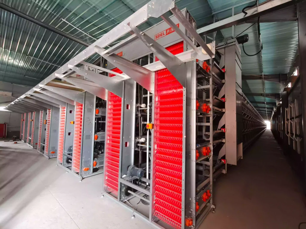 What are the components included in an Automated Battery Cage System?(Layer Cage) 1 蛋鸡