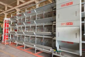 layer cage system 3 layer cage system