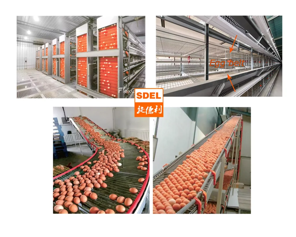 Egg collection system 1