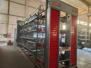 layer cage system 2 H type layer cage system