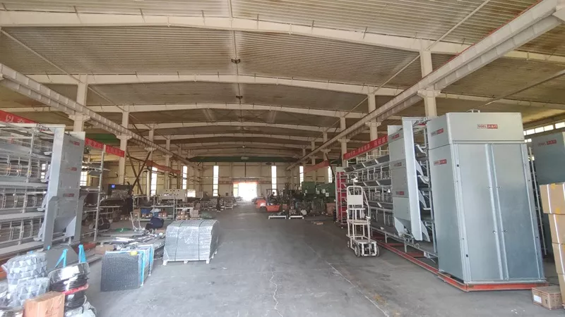 IMG 20250612 104344750