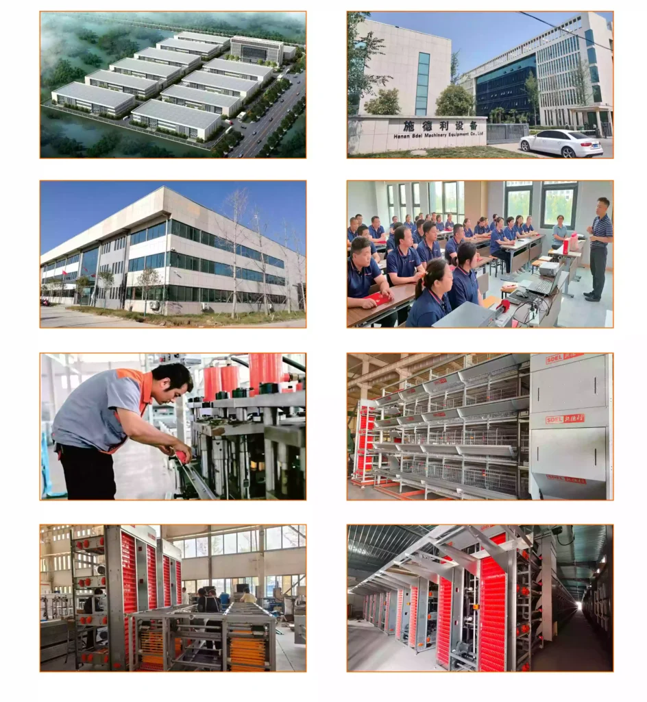 Poultry equipment manufacturers in china 1