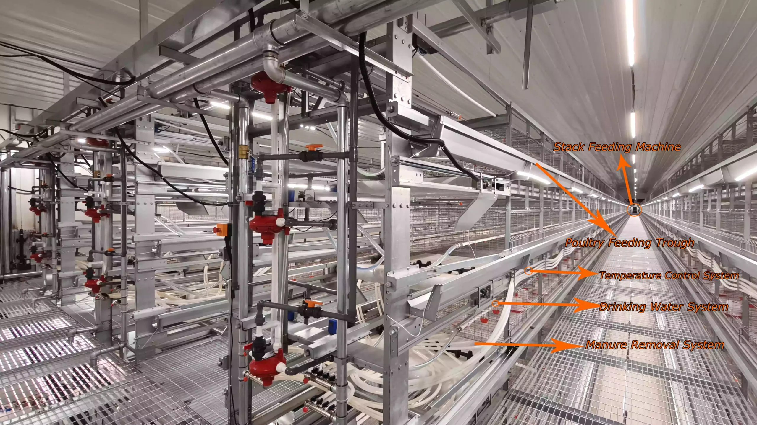 layer cage 9 Pullet cage system 3 scaled