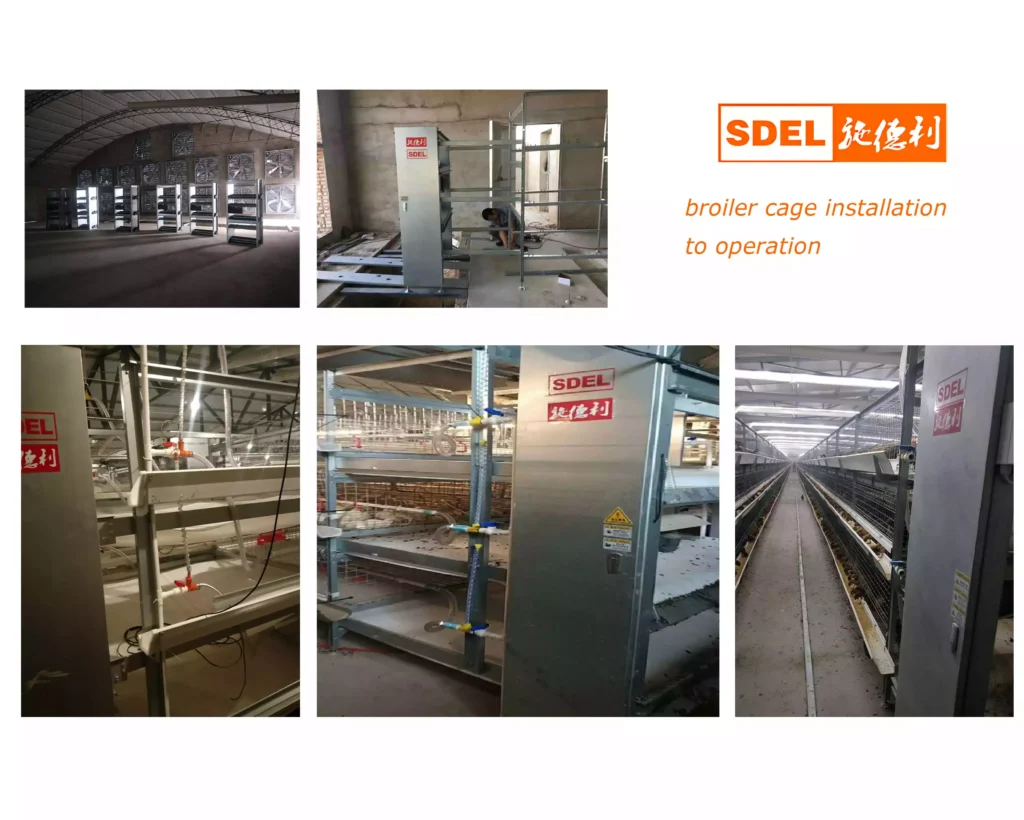 Broiler Cage 3 broiler cage installation to operation