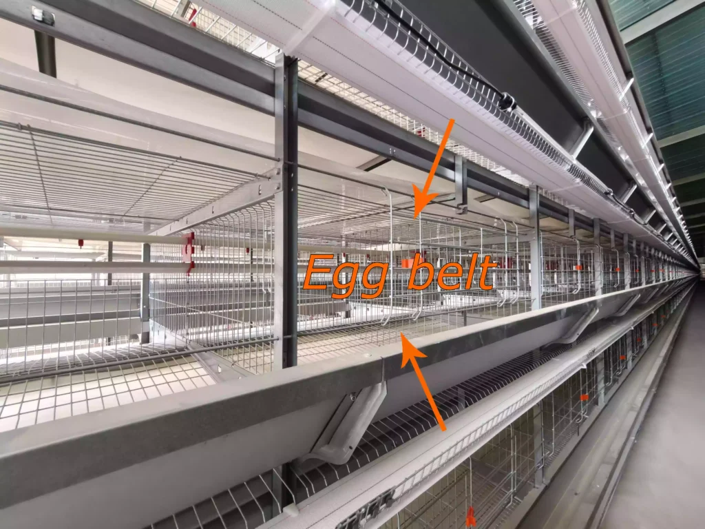 layer cage system 6 egg belt
