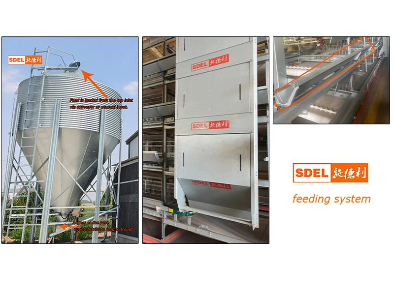 feeding system 3