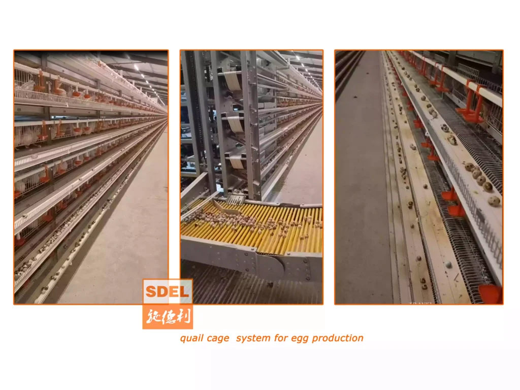 quail cage system