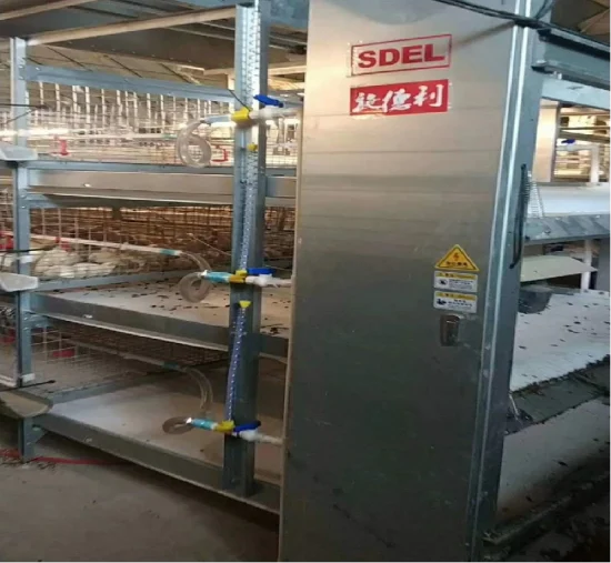 Broiler cage project Broiler cage project