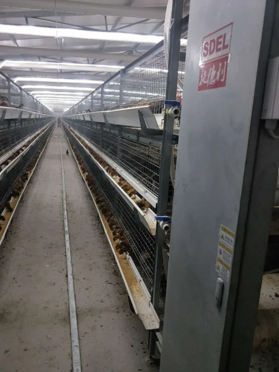 Broiler cage system Broiler cage system