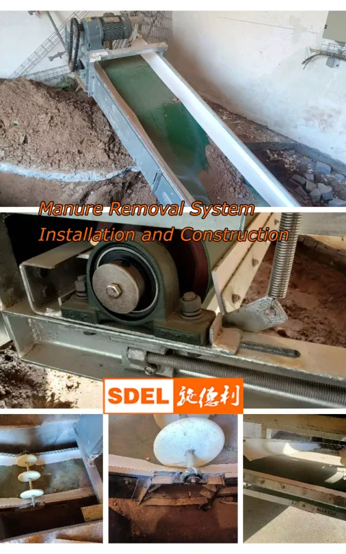 Manure Removal System Installation and Construction Manure Removal System Installation and Construction